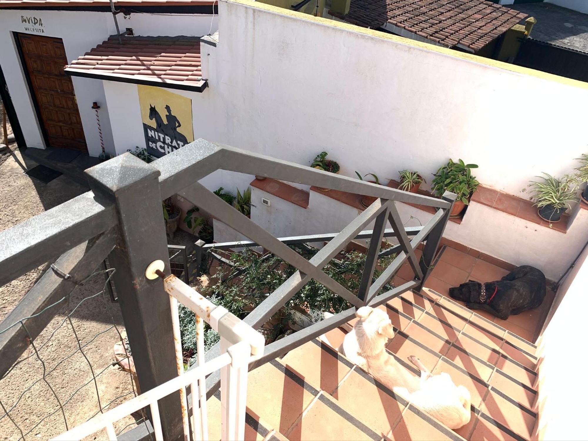 El Sueño de Mamá Asociación y Grupos Tegueste Exterior foto